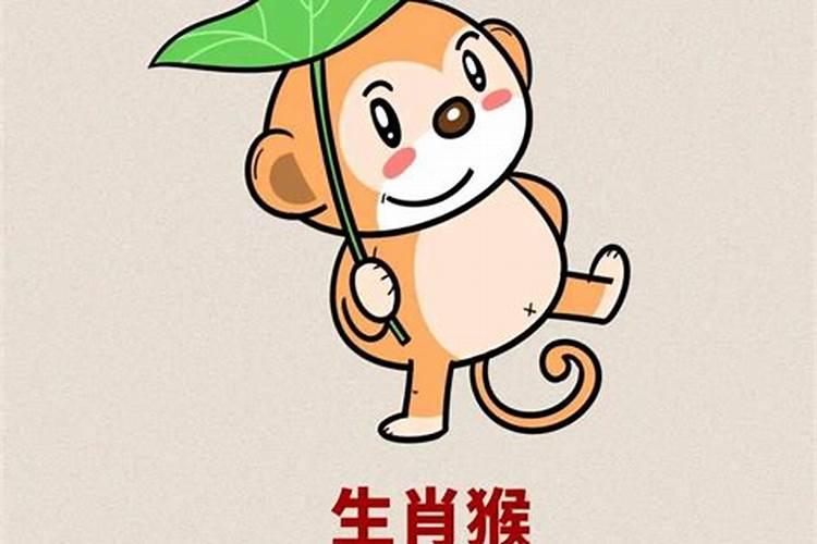 美国神婆星座网2025年星座运势