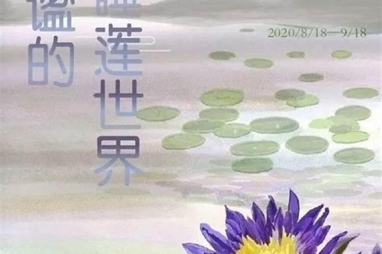 上海八月十五哪里有好玩的地方