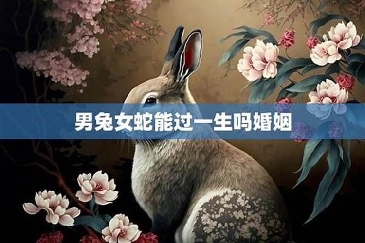 男朋友是87年属兔的,我是89年属蛇的请问合不合
