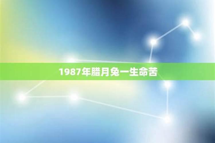 属兔35岁后起大运,87年兔一生的大运时间