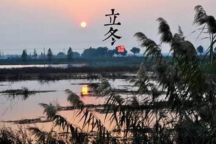 1967年属羊男人的婚姻,属羊人到了晚年有谁陪