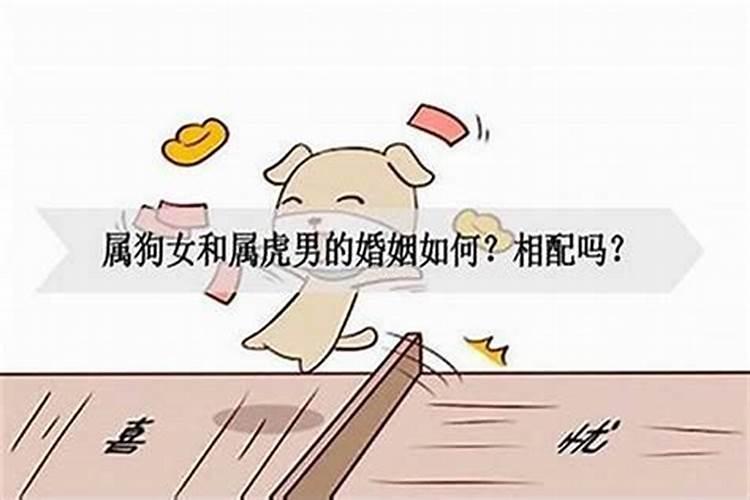 82年女狗和86年虎男的婚姻,82年属狗的能和86年属虎的结婚么