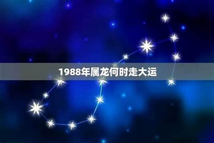 74属虎48岁以后的运气