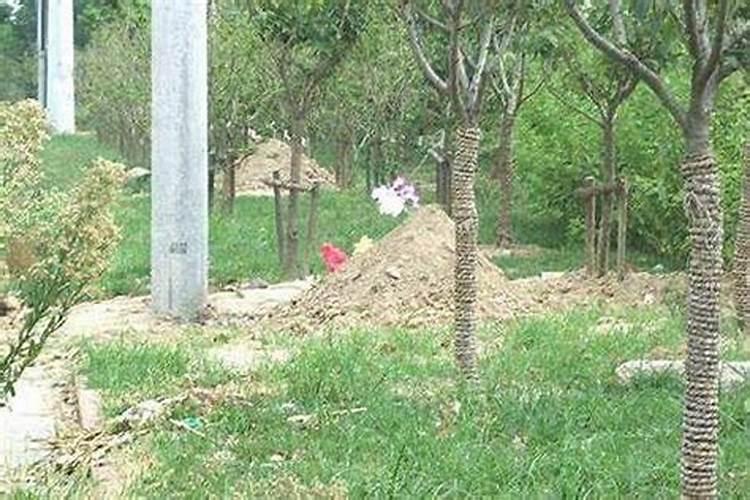 泉州人冬至吃什么？