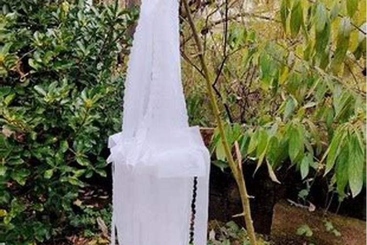 梦见男朋友的前女友回来找他 代表什么