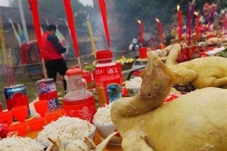 梦见青红两条大蟒蛇