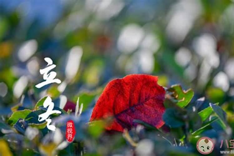梦见已故奶奶张长头发