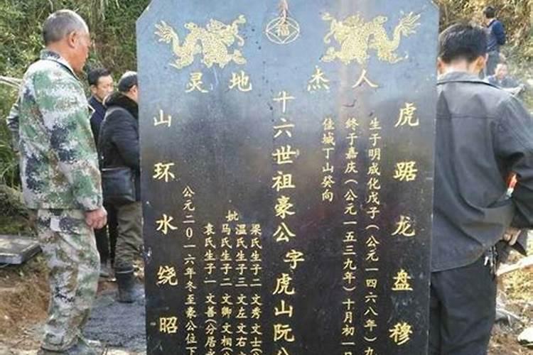 梦到蜜蜂成群预示着什么意思