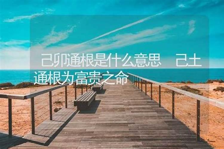 1973年属牛人每月运势 运程详解？