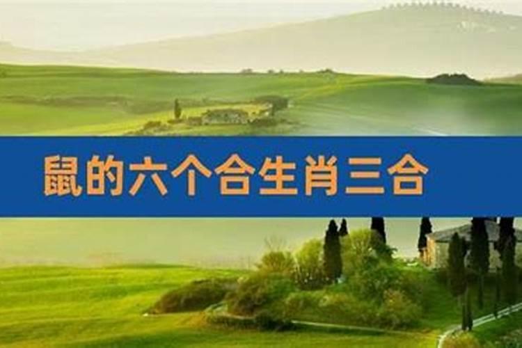 家里出现两条蛇,什么预兆!