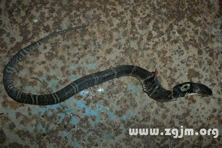 捕鱼船侧翻致11死:一家3兄弟丧命