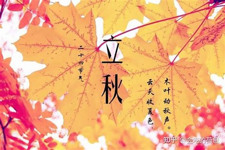 属猴人遇2025蛇年运势如何