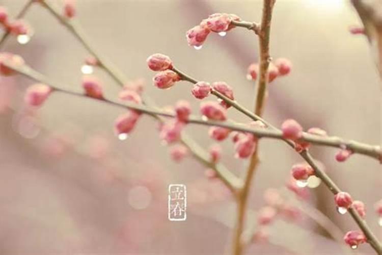 中秋节风俗有哪些英语