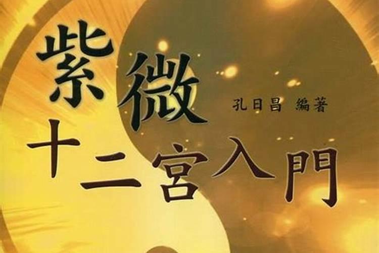 95年属猪女2024年每月运势