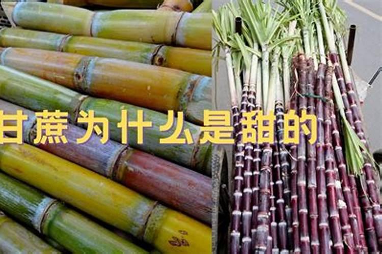 七夕为何被称作中国的情人节 七夕何时正式成为节日