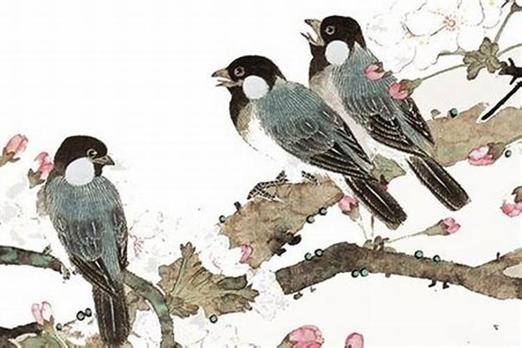 哪位大师可以帮我算下吗？农历1988年7月17日出生的人命运怎么样？
