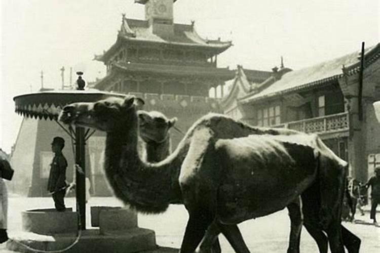 归化和入籍有什么区别,冬奥会中又有哪些归化运动员？