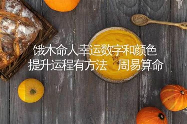 羊和老鼠属相合不合