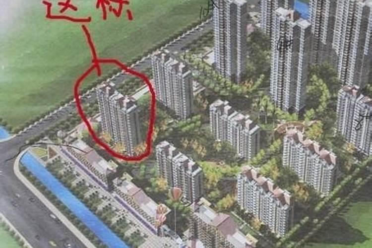2025属猪的运势和财运1983年如何