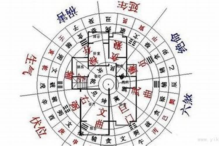 属猪人哪一年最倒霉,需要注意什么