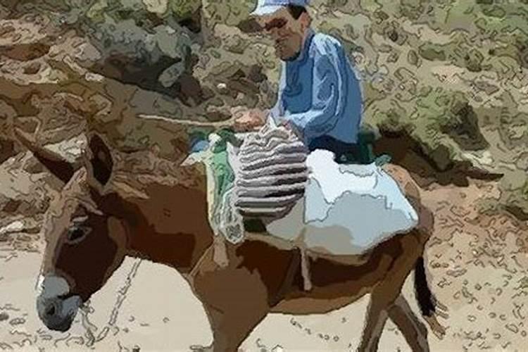 2025最旺的三个属相 犯太岁