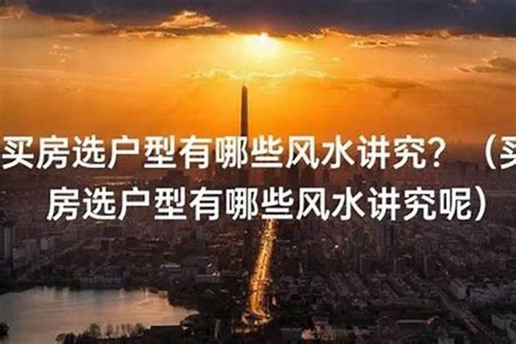 养花越养越好是运气旺
