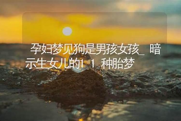 孕妇梦见狗怀的是男孩女孩