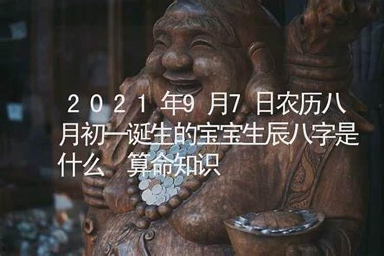 生辰八字算命1989年7月初一卯时女命
