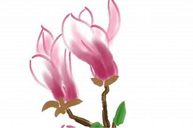 带仙缘的人梦见衣服颜色代表什么