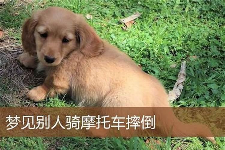 八月十五给长辈送西梅寓意好吗