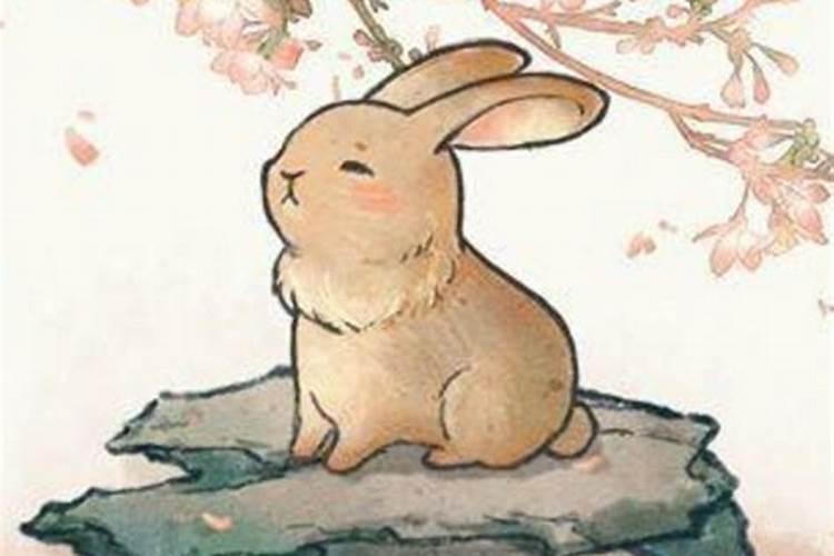 冬至吃饺子是哪些地方的风俗习惯？