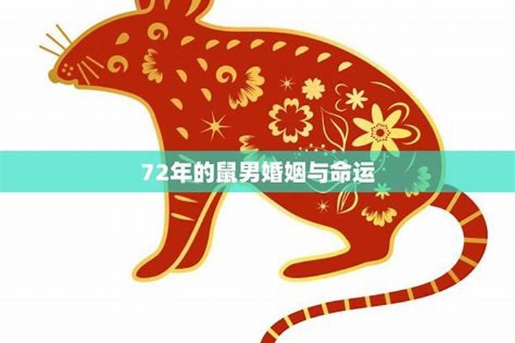 72年属鼠人婚恋运如何 72年属鼠感情怎样