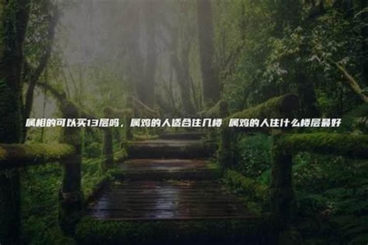 属狗的适合买哪一个楼层,属狗人住楼应该住哪个楼层好