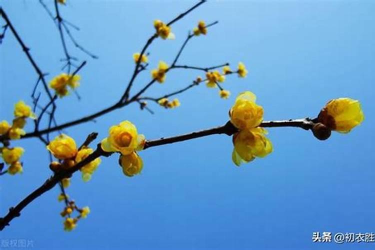 梦见给死去的爷爷办葬礼的预兆