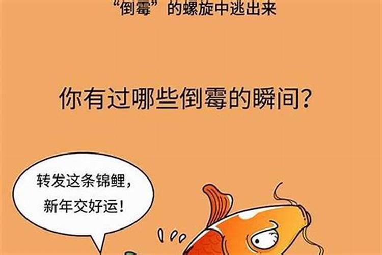 最近实在太倒霉了,还邪的很,怎么转运啊？
