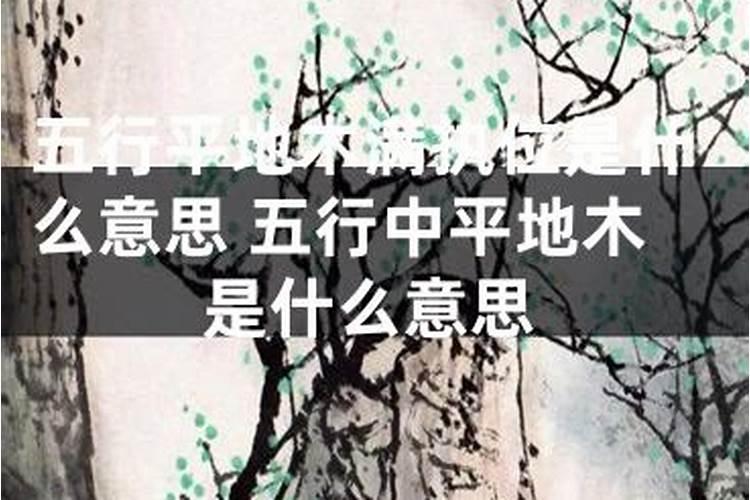 我是1986年 农历10月30日辰时生,请问我的八字 五行 纳音是什么？谢谢