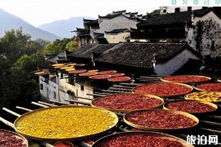 福建泉州冬天发生过最低的气温是多少度？