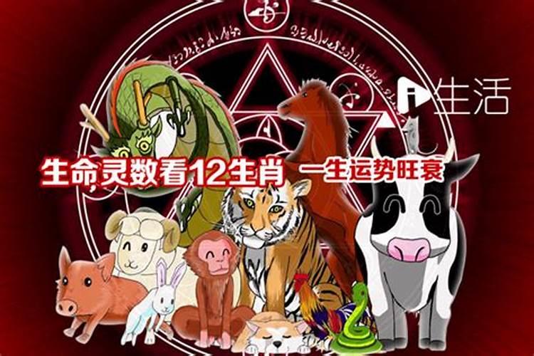 抽签算命,从生命灵数看12属相的人生道路秘密