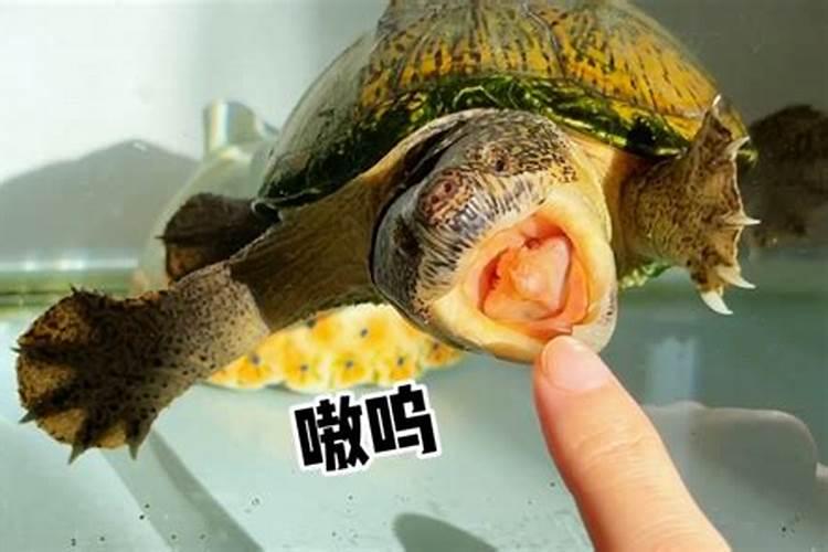 中国冬至风俗有哪些