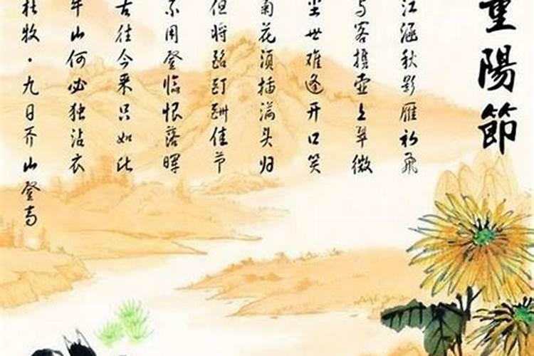 王维写的诗九月九日忆山东兄弟中的遥知兄弟登高处遍插茱萸少一人中的...