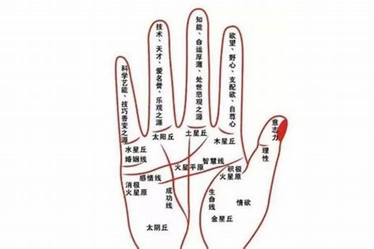 看手相真的能看出一个人的命运吗 人生顺利命中大富大贵？