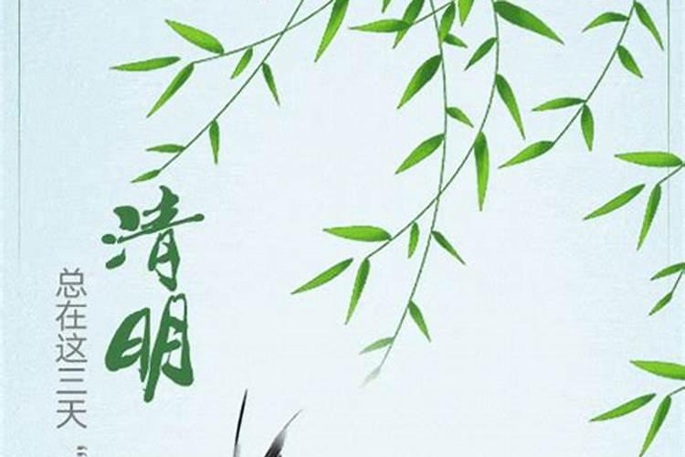 2025属虎人的全年运势如何