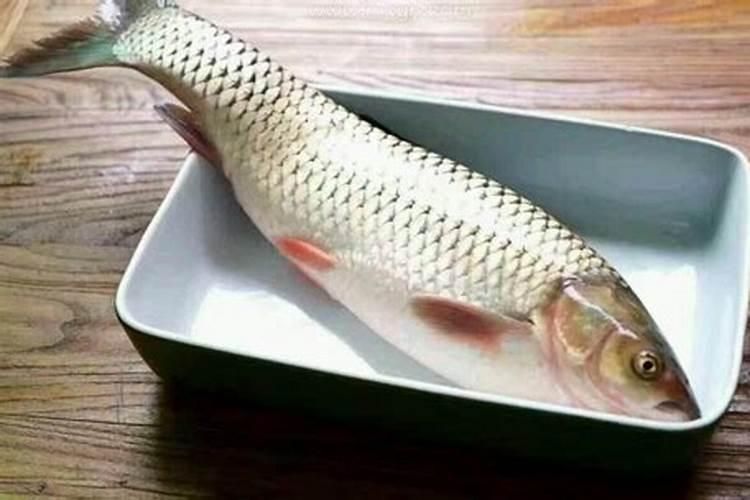 梦见手拎一朔料袋一袋活鱼的预兆