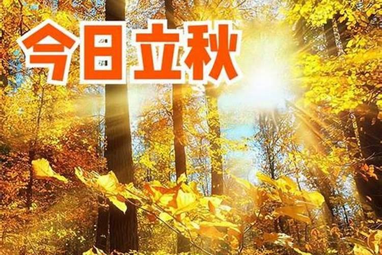 梦见去世奶奶回来种花花开的鲜艳