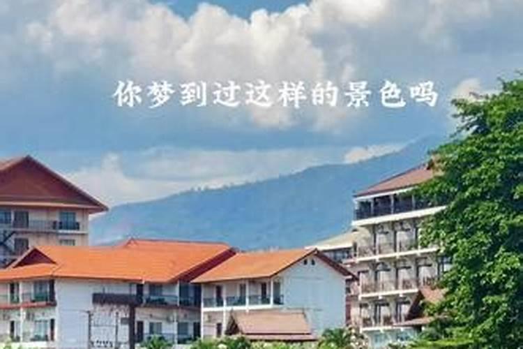 女人梦见汽车被偷了是什么意思