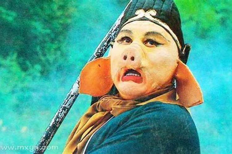 属猪2025年犯太岁怎么化解