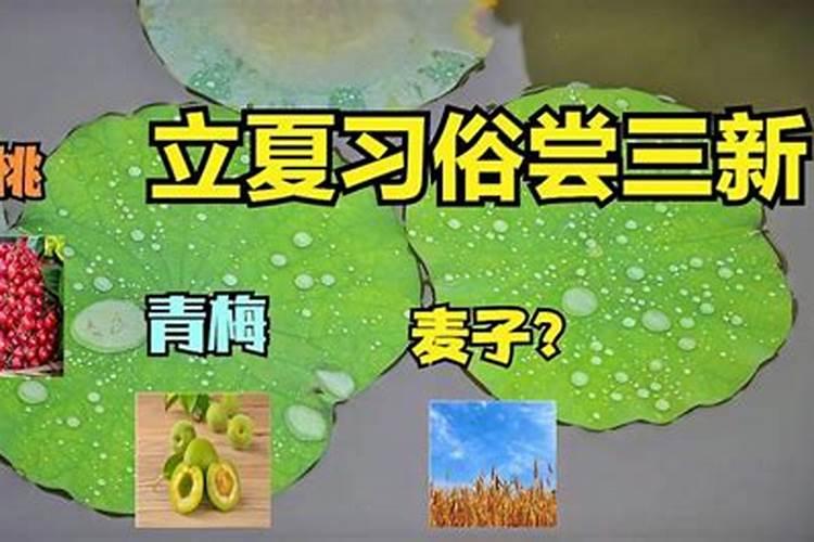 梦见狗狗丢了又找到了