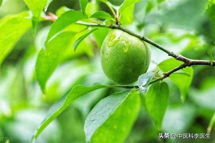 2047年放假从几号到几号放假？
