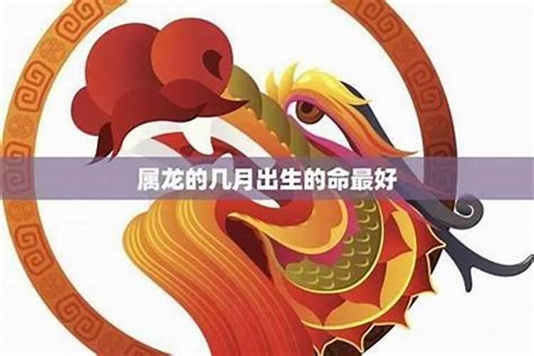 1988年属龙的2025年运势和财运怎么样