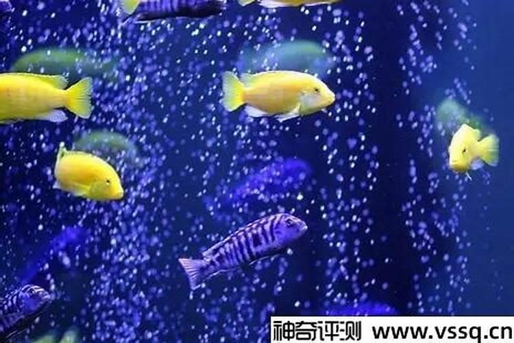 谁知道此人的命运如何呀？
